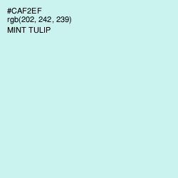 #CAF2EF - Mint Tulip Color Image