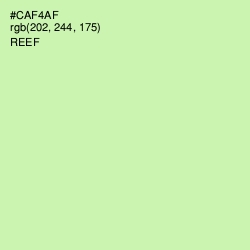 #CAF4AF - Reef Color Image