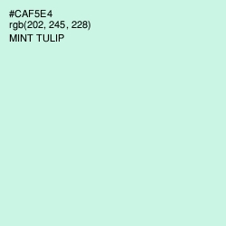 #CAF5E4 - Mint Tulip Color Image