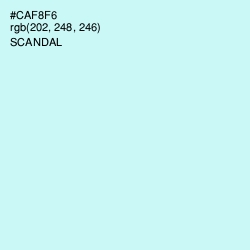 #CAF8F6 - Scandal Color Image