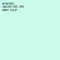 #CAFAEC - Mint Tulip Color Image