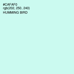 #CAFAF0 - Humming Bird Color Image