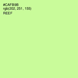 #CAFB9B - Reef Color Image