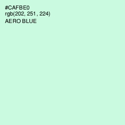 #CAFBE0 - Aero Blue Color Image