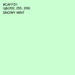 #CAFFD1 - Snowy Mint Color Image