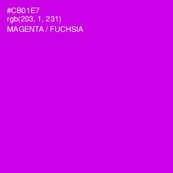 #CB01E7 - Magenta / Fuchsia Color Image