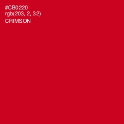 #CB0220 - Crimson Color Image