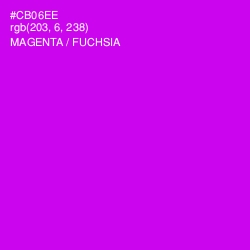 #CB06EE - Magenta / Fuchsia Color Image
