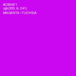 #CB06F1 - Magenta / Fuchsia Color Image
