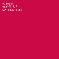 #CB0947 - Maroon Flush Color Image
