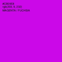 #CB09E8 - Magenta / Fuchsia Color Image