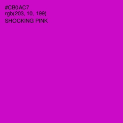 #CB0AC7 - Shocking Pink Color Image