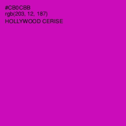 #CB0CBB - Hollywood Cerise Color Image