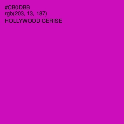 #CB0DBB - Hollywood Cerise Color Image