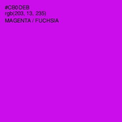 #CB0DEB - Magenta / Fuchsia Color Image