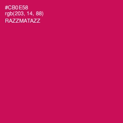 #CB0E58 - Razzmatazz Color Image