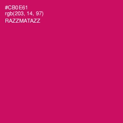 #CB0E61 - Razzmatazz Color Image