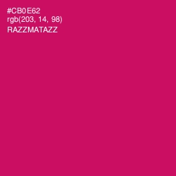 #CB0E62 - Razzmatazz Color Image