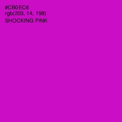 #CB0EC6 - Shocking Pink Color Image