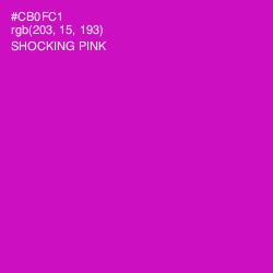 #CB0FC1 - Shocking Pink Color Image