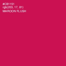 #CB1151 - Maroon Flush Color Image