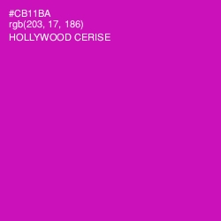 #CB11BA - Hollywood Cerise Color Image