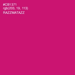 #CB1371 - Razzmatazz Color Image