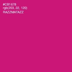 #CB1678 - Razzmatazz Color Image