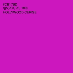 #CB17BD - Hollywood Cerise Color Image