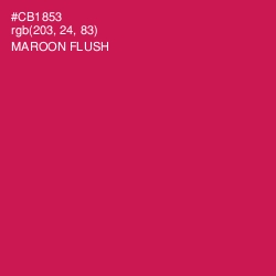 #CB1853 - Maroon Flush Color Image
