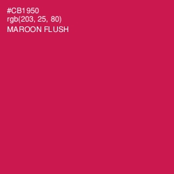 #CB1950 - Maroon Flush Color Image
