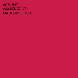 #CB1B47 - Maroon Flush Color Image