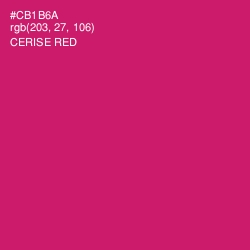 #CB1B6A - Cerise Red Color Image