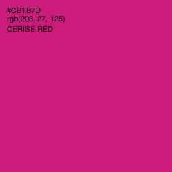 #CB1B7D - Cerise Red Color Image