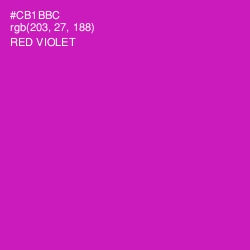 #CB1BBC - Red Violet Color Image