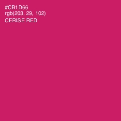 #CB1D66 - Cerise Red Color Image