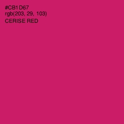 #CB1D67 - Cerise Red Color Image