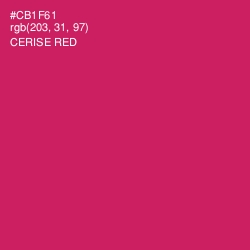 #CB1F61 - Cerise Red Color Image