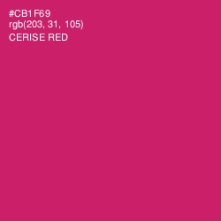 #CB1F69 - Cerise Red Color Image