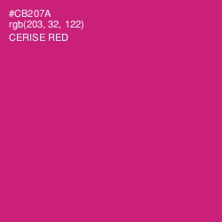 #CB207A - Cerise Red Color Image