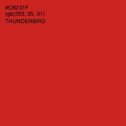 #CB231F - Thunderbird Color Image