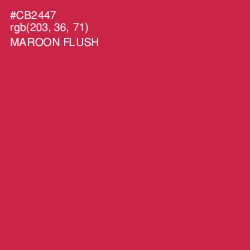 #CB2447 - Maroon Flush Color Image