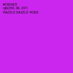 #CB26ED - Razzle Dazzle Rose Color Image