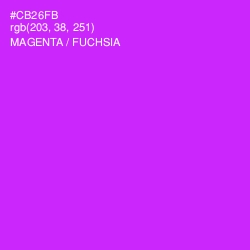 #CB26FB - Magenta / Fuchsia Color Image