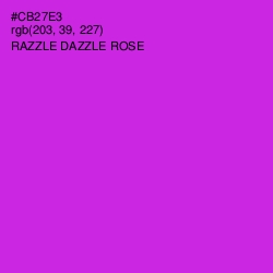 #CB27E3 - Razzle Dazzle Rose Color Image