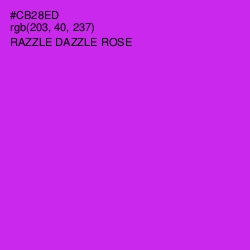 #CB28ED - Razzle Dazzle Rose Color Image