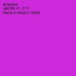 #CB29D9 - Razzle Dazzle Rose Color Image