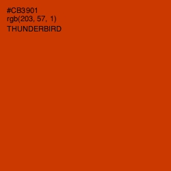 #CB3901 - Thunderbird Color Image