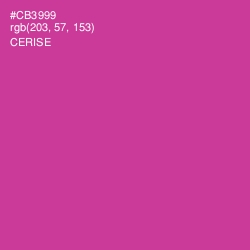 #CB3999 - Cerise Color Image