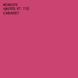 #CB4370 - Cabaret Color Image